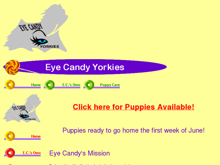 www.eyecandyyorkies.com