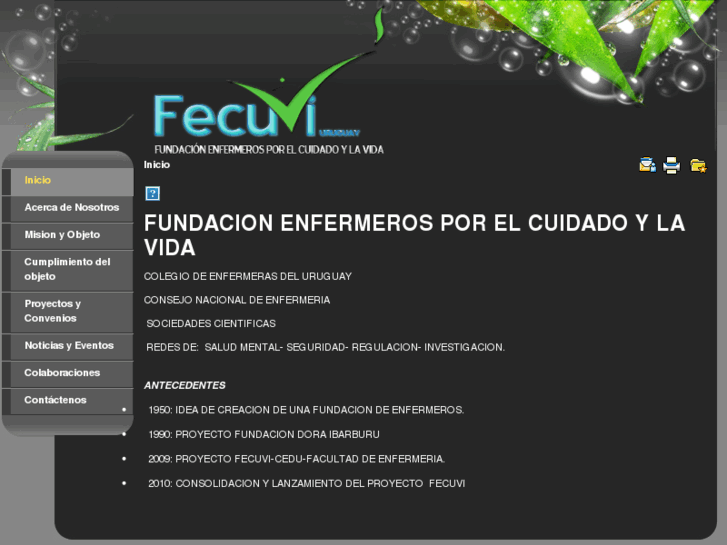 www.fecuvi.org