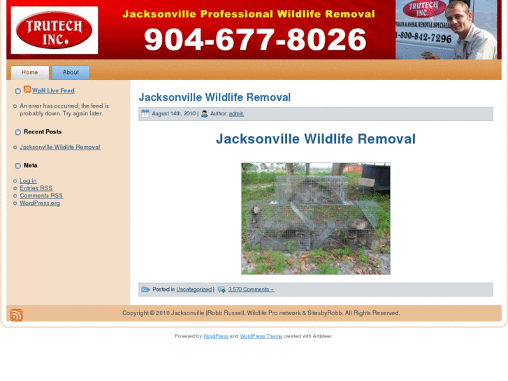 www.jacksonvillewildliferemoval.com