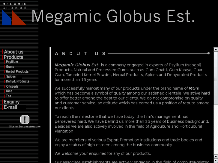 www.megamic.com