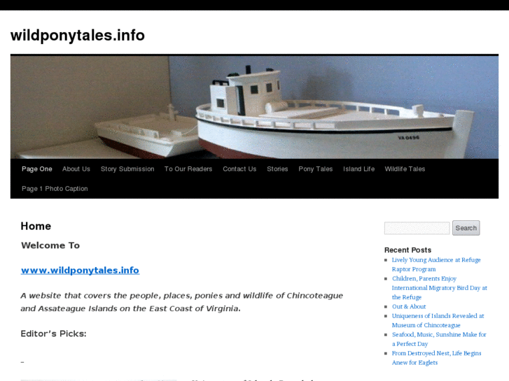 www.wildponytales.com