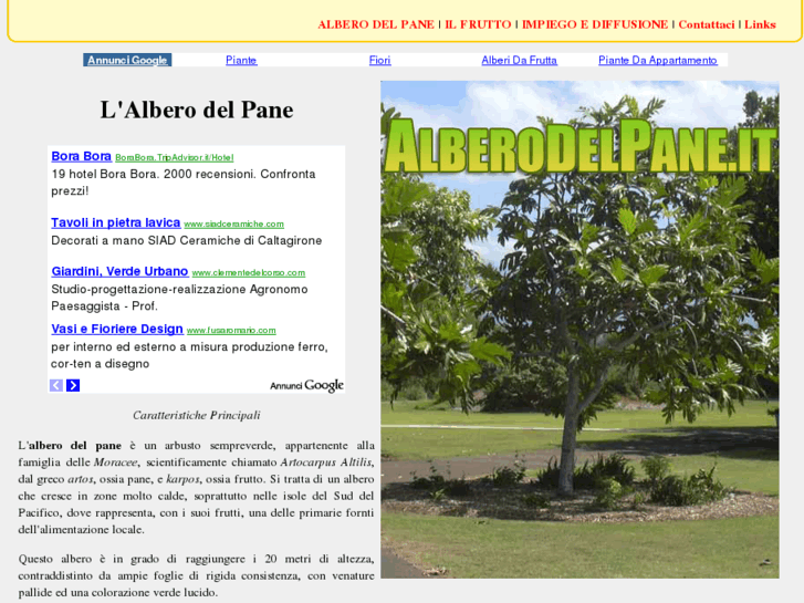 www.alberodelpane.it