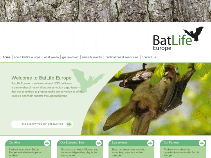 www.batlife-europe.info