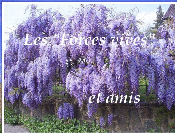 www.les-forces-vives.net