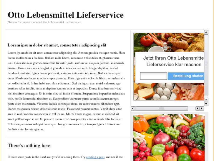 www.otto-lebensmittel-lieferservice.com