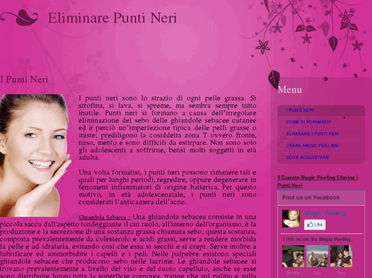 www.puntineri.com