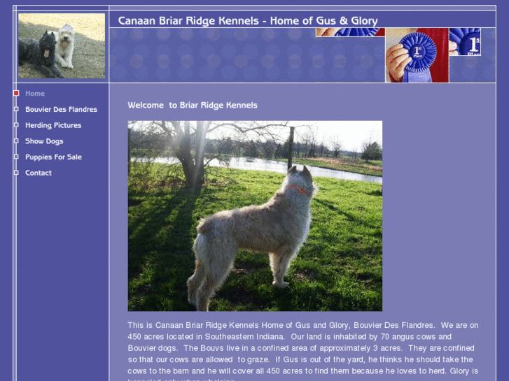 www.canaankennels.com