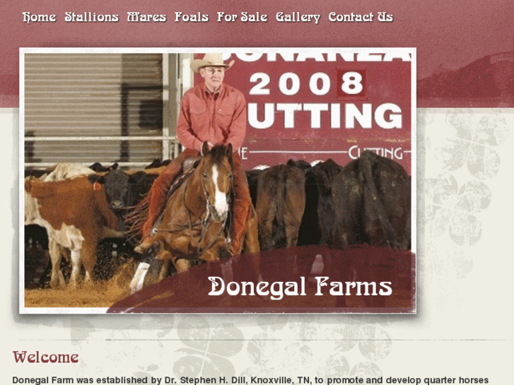 www.donegalperformancehorses.com