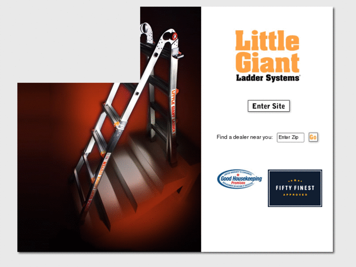 www.littlegiantladdersystem.com