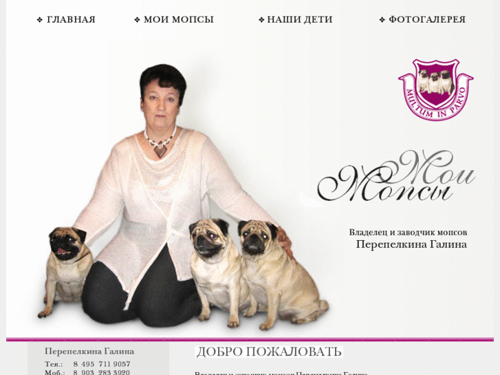 www.my-mops.net