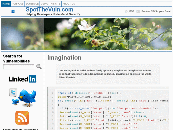www.spotthevuln.com