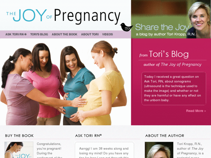 www.thejoyofpregnancy.com