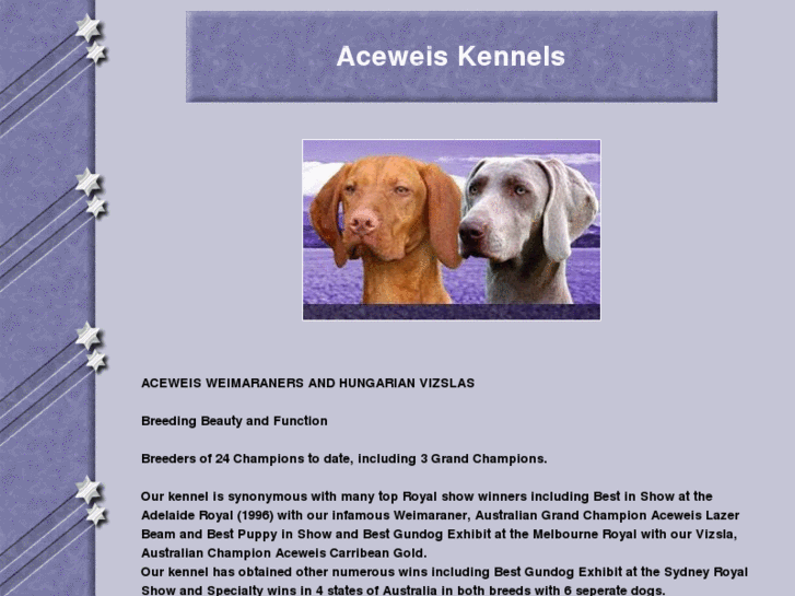 www.aceweis.com