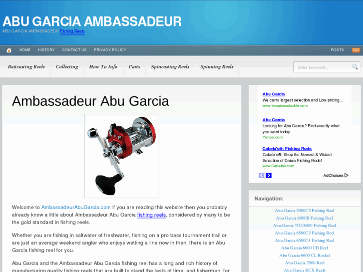 www.ambassadeurabugarcia.com