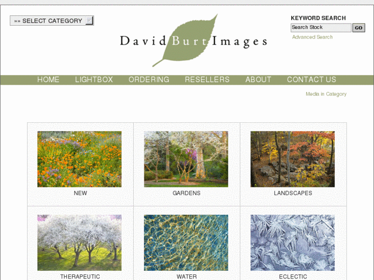 www.davidburtimages.com