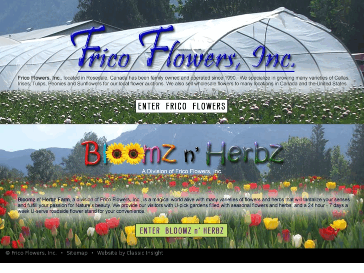 www.fricoflowers.com