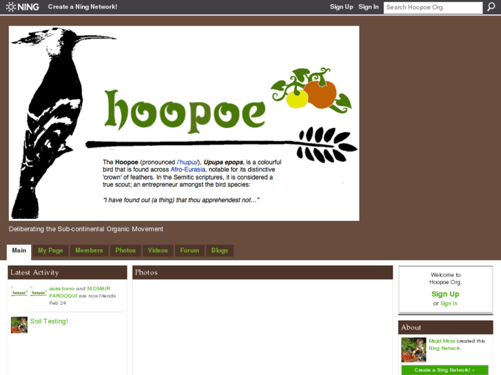 www.hoopoe.org