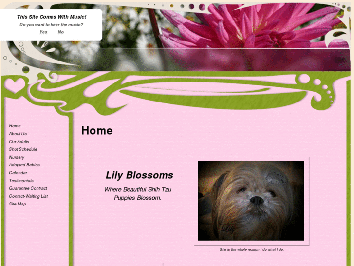 www.lilyblossoms.com