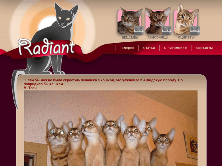 www.radiantcats.com