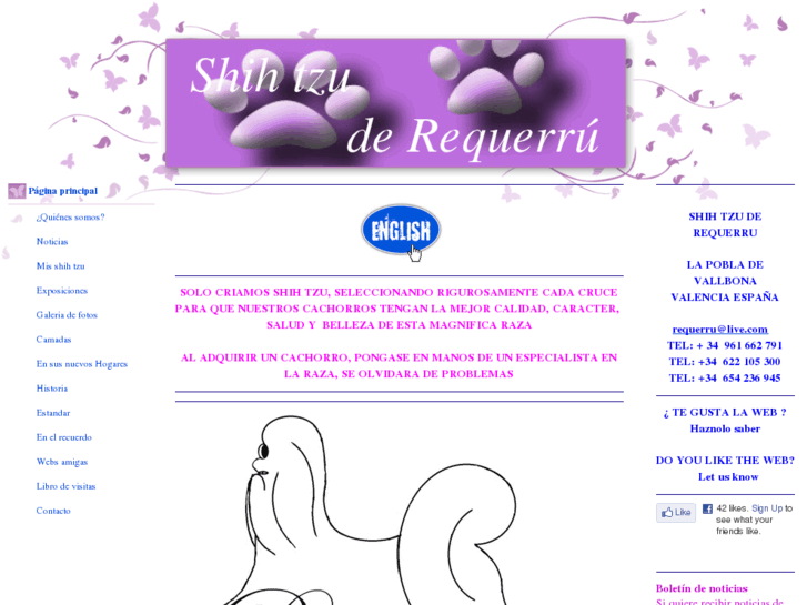 www.shihtzuderequerru.com