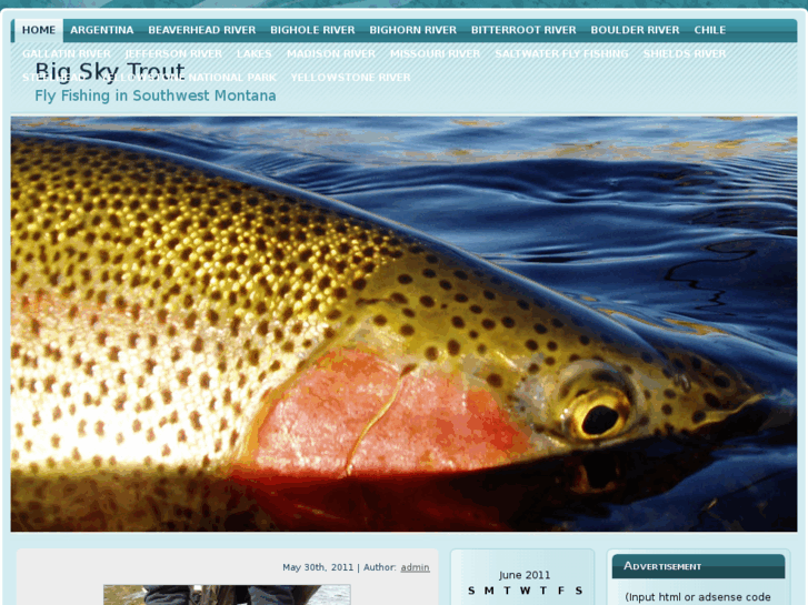 www.bigskytrout.com