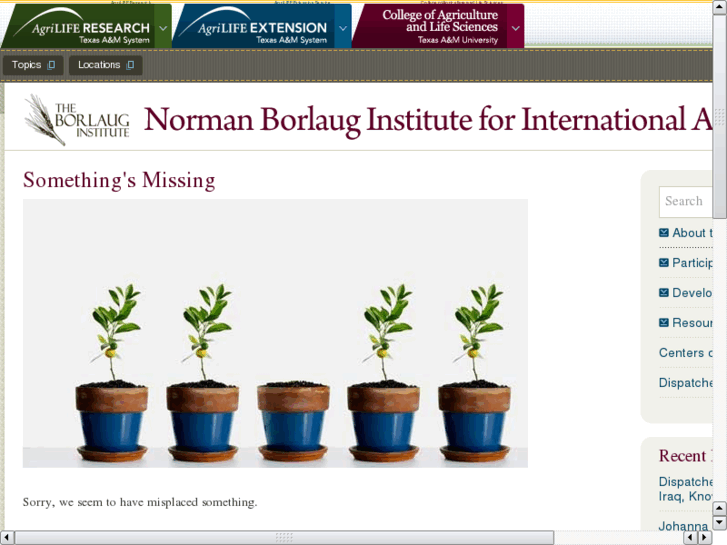 www.borlauginstitute.net