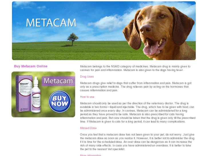 www.buymetacamonline.com