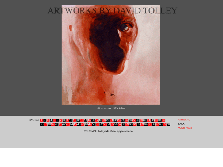 www.davidtolleyartist.com