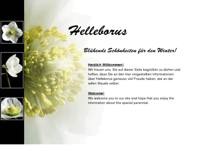 www.helleborus.de