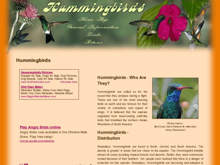 www.hummingbirds-hummingbirds.com