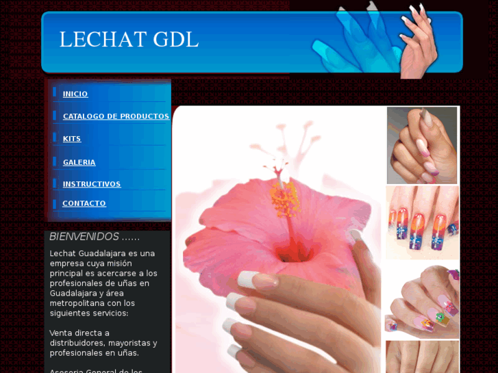 www.lechatgdl.com