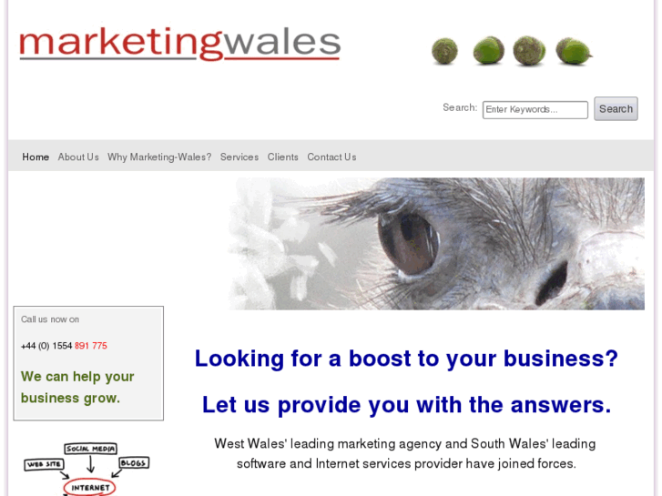 www.marketingserviceswales.com
