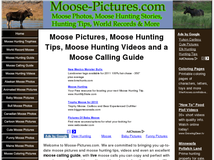 www.moose-pictures.com