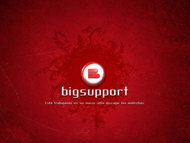 www.bigsupport.com.ar