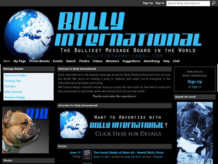 www.bullyinternational.com