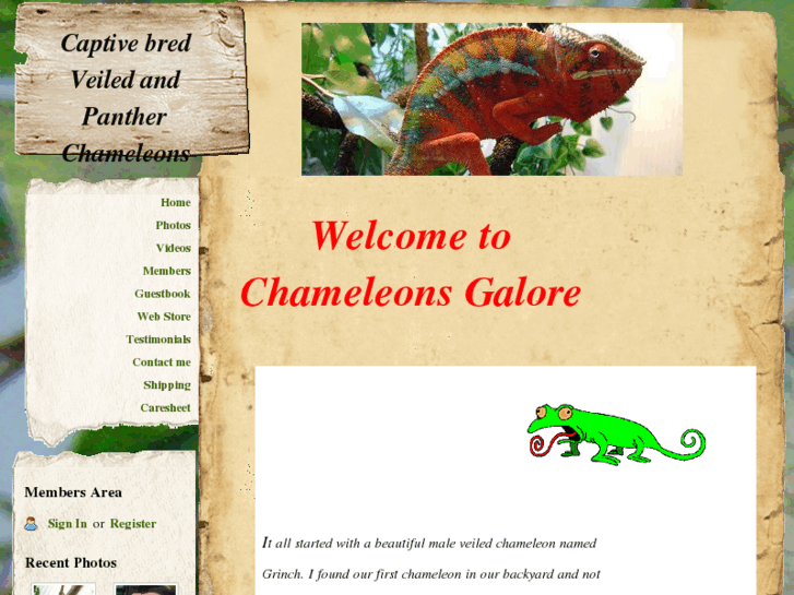 www.chameleonsgalore.com