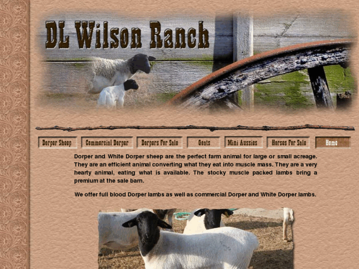 www.dlwilsonranch.com