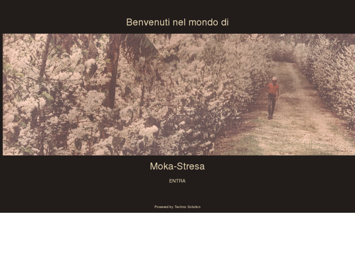 www.mokastresa.net