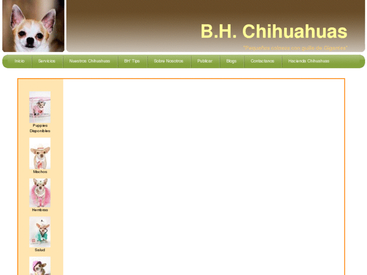 www.chihuahuafashion.com