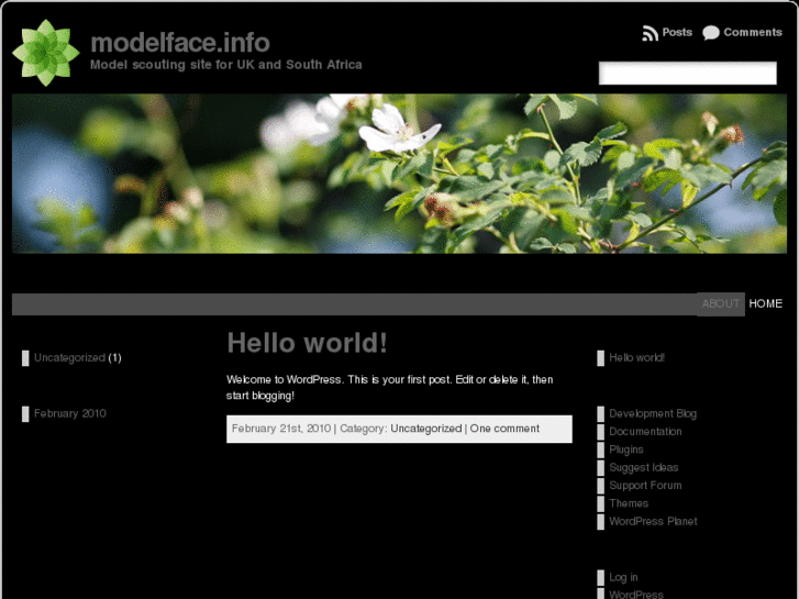 www.modelface.info
