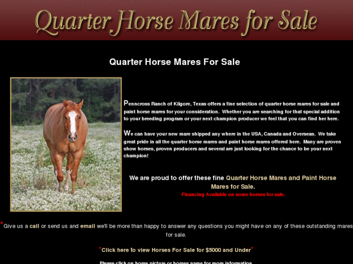 www.quarterhorsemaresforsale.com