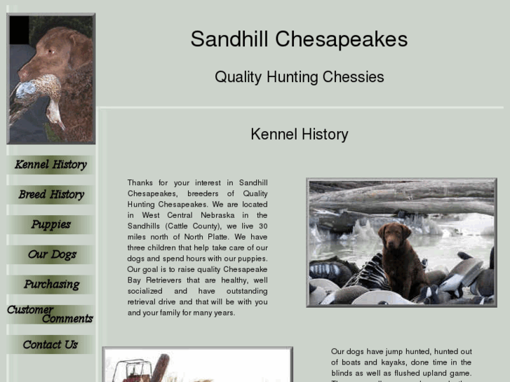 www.sandhillchesapeakes.com