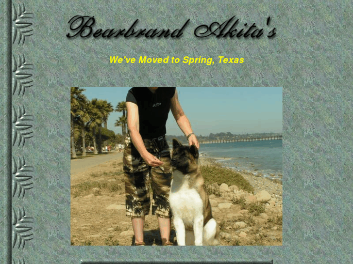 www.bearbrandakitas.com