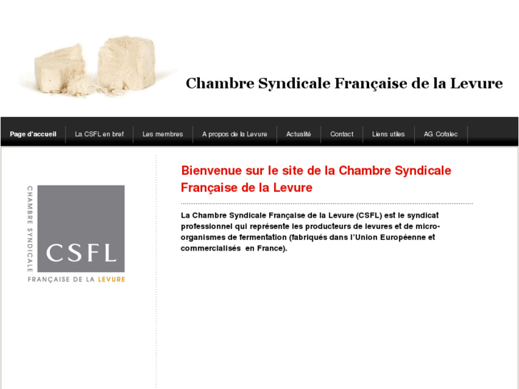 www.chambresyndicalelevure.com