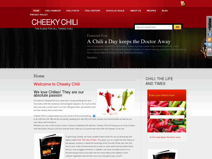 www.cheekychili.com