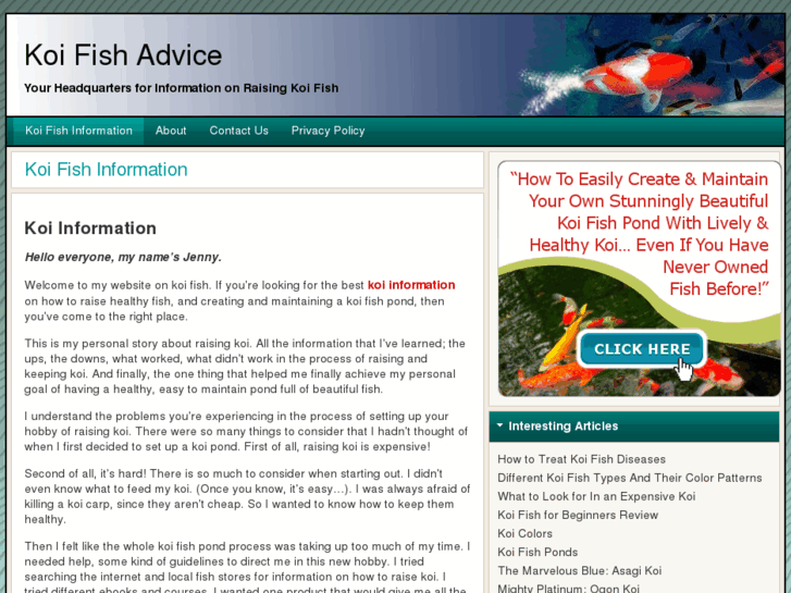 www.koifishadvice.com