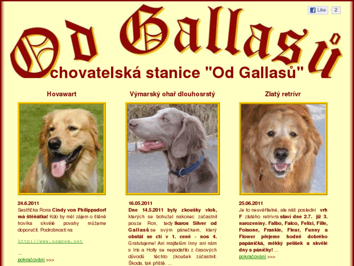 www.od-gallasu.cz