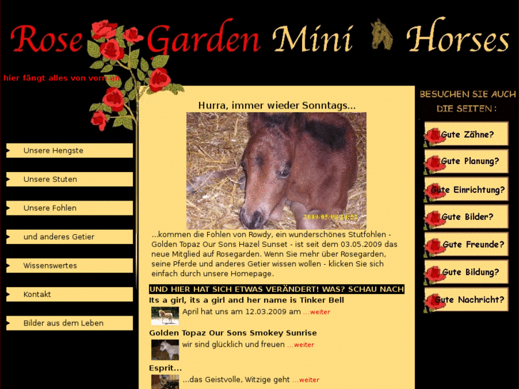 www.rosegardenminihorses.de