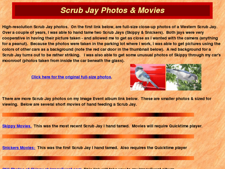 www.scrubjayphotos.com