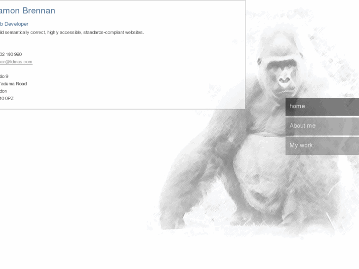 www.silver-monkey.com